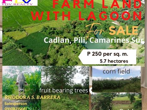 ligo land pili|Farmland with Lagoon [Lot ] (September 2023) in Pili.
